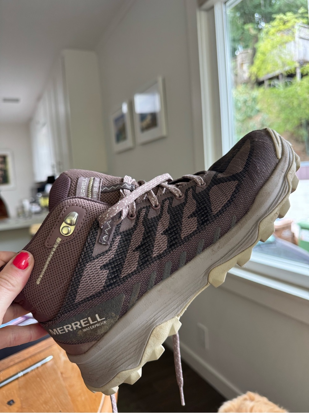 Merrell Speed Eco Mid WP (Women's)